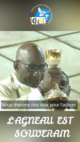Car il est Glorieux et Digne de Régner, l'Agneau est Souverain #saintsacrement #adorationchretienne #jésus #chantcatholique✝️ #Messe #catholique 
