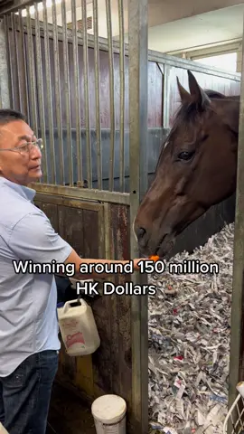Golden Sixty 🤩 The highest earning race horse EVER! #Raceday #GoldenSixty #shatio__lyrics🦋 