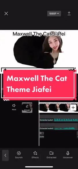 Maxwell The Cat Theme Jiafei #jiafei #jiafeiremix #jiafeiproducts #maxwellthecat #maxwell #cat 