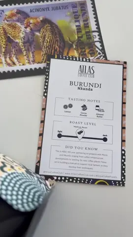 Starting my day with the best coffee @Atlas Coffee Club ☕️☕️☕️⁣ ⁣ This month’s coffee is from Burundi. With lemon, cocoa powder and almond butter notes… this has to be one of the absolute best coffees I’ve ever had. ⁣ ⁣ Thank you for my monthly subscription!  ⁣ Use code BELKIS50ATLAS for a discount⁣ ✨ ⁣#coffee #coffeetiktok #coffeelover #coffeetime #fyp #fypシ #parati #cafecitoenmano   