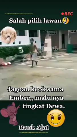 Sok Jago🤣🤣🤣