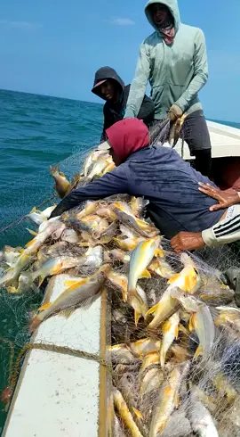 #tacariguadelalaguna  #viralvideo #parati #tiktok #video #turismo #viral #venezuela🇻🇪 #buenapesca #turista #pescador #viraltiktok 