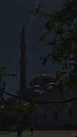 هذا وللمتمسكين بسنة المختار | ابن القيم .#shorts #ubayda_123 #خواطر #ابيات #نونية_ابن_القيم #ابن_القيم #كلمات #حالات_واتس #عبارات 