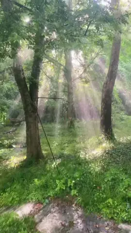 Another one of “those” moments. This was my dad’s backyard this evening. I am so thankful for moments like these, nature is so beautiful. #rain #nature #sunshineandrain #beautiful 