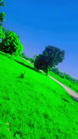 jes no dhola dhande he#video 