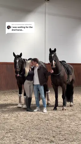 Antwort auf @n all three rides together 🫶🏻 #fy #foryou #equestrian 