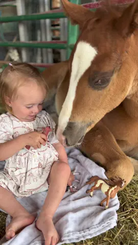 Wait until the end for the kiss on the nose….🤍 #blessed #cowgirl #horse #foal #babyhorse #quarterhorse #precious #momlife #toddlermom #barnlifeisthebestlife #barnlife 