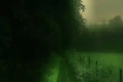 читайте «Фиолетовый рассвет» тг: siarayman 💚