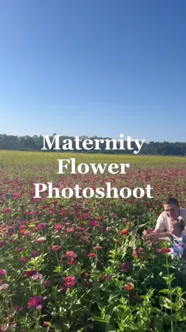 I am going to be anxiously waiting like crazyyyy for these pics to come back!!!! 💕🫶🏻 will share soon! #maternityshootspictures #wildflowerfields #wildflowerfieldphotoshoot #maternityphotoshootideas #maternityphotoshootdress #maternityphotoshootinspo #maternityphotoshootposeideas #flowerfieldphotoshoot #flowerfieldphotos 