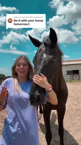 Replying to @aaronholt0 day 15!! finally one with Mambo :)