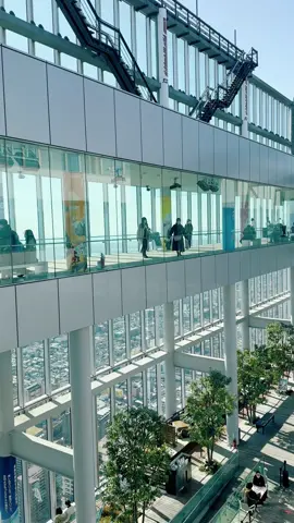 Harukas 300  🏙️ #harukas300 #harukasobservationdeck #japan #travellife #traveltiktok #traveldestinations #aroundtheworld #travelbucketlist #touristattraction #touristtrap #osakajapan #osaka 
