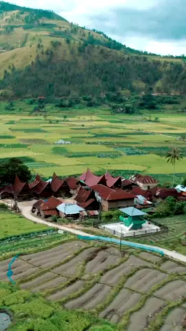 Selamat berakhir pekan di #samosir. . . Video by @samosirta  #samosirta #pesonaindonesiaofficial  #adventure #nature  #zonabatak #pesonaindonesia #batak #samosirindah #fyp #viral #danautoba #bataktiktok #sianjurmulamula 