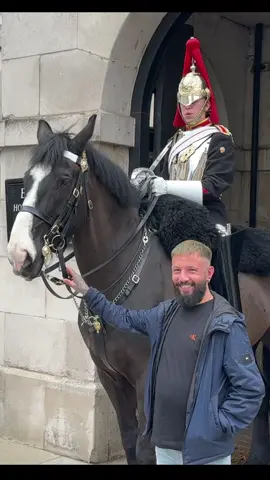 Complete lack of Remorse  He grabbed the Horse Reins and Laughs about it! #foryou #horseguardsparade #kingsguard  #viraltiktok #uk #London #horse #fyp #meme 