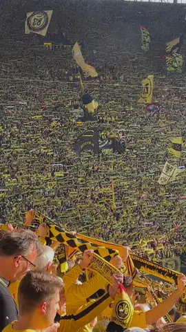 Borussia Dortmund Fans  Sing 🎶 #borussiadortmund #bvb #bvb09 #dortmund #germany #ultras #football #fyp #fypシ #viral #footballtiktok 