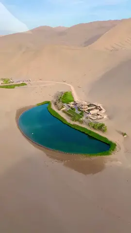 #foryou Mingsha Mountain Crescent Spring, Crescent Spring resembles a crescent moon, one of the most beautiful scenery outside the Great Wall. #tiktok #fyp #travel #scenery #nature #viral  #spring #mountain #desert #healing 