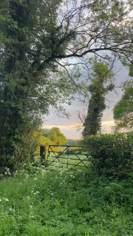 📍Bramdean #hampshire #england #bramdean #englishcountryside #landscape #greenaesthetic #countryside #spring #sunset #sunsetlover #aesthetic #nature 