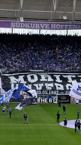 TSG Hoffenheim Ultras #football #bundesliga #hoffenheim #tsg #tsg #hoffenheim🔵⚪️ #hoffenheimtt 