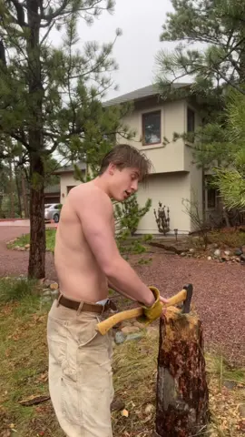 Need some trees cut down?