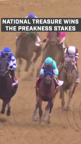 WHAT. A. FINISH. #horses #horseracing #preakness 