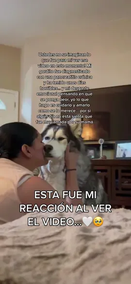Ay!💔 #lewiscapaldi #wishyouthebest #fypシ #yohanarangelmua #cry #aynopuedoooo #miperritochulo   