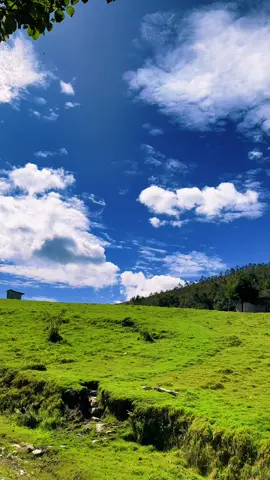 😍☁️⛰️ #mylife #paisajesperuanos🇵🇪🏞🍂 #travels #jhoeljesusc #huanuco_perú❤️ #paisajes #fyp #videosparaestado 