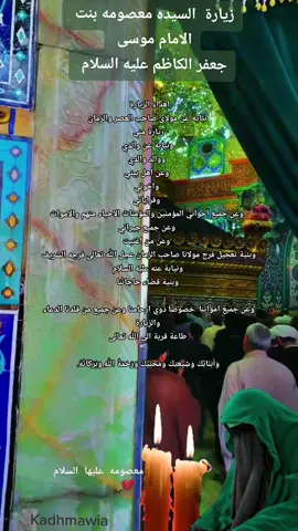 #زيارة #السيده_معصومه #عليها  السلام #متباركين_يا_شيعة_؏ـلي🦋💕 ##مولد #السيده_معصومه #يامعصومه_يااخت_الرضا_ع #اقضي_حاجتي_وحاجت_كل_محتاج #شيعة_علي_الكرار #شيعه_الامام_علي_عليه_السلام #kadhmawia🪬 #shiatali313💚⚔️ #fyp #fypシ #foryou 