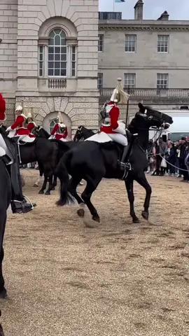 Spooked Horse Makes All Horses Freak Out! #horsefreaksout #freakout #horseguardsparade #london #kingguards #thekingsguards #horse #horselove #fyp #fyphorse #foryoupage #foryou #spooked #share #follow #like #crazyhorse #bighorse 