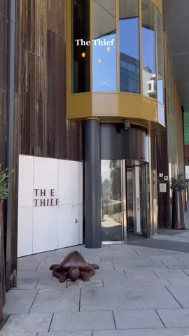 One night at The Thief☀️ #thethief#thethiefoslo#hotelreview#hotelrecommendation#hotelhideaway#5coursemeal#5coursedinner#review#staycation#oslo#hoteloslo#hotelnorway 