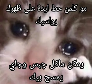 #شعر_عراقي 