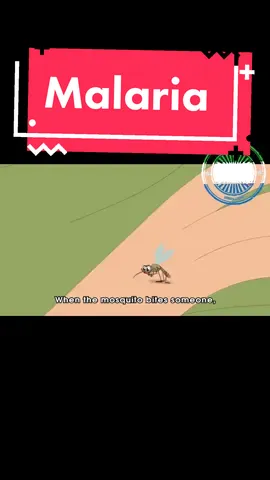 What is Malaria #kono #koidu #medical #hospital #clinic #doctor #salonehmann #Freetown #bo #kenema #malaria 