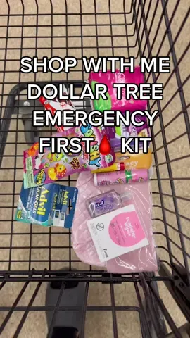 Let’s go to Dollar Tree and make an emergency first period kit for a pre teen #dollartree #shopwithme #dollartreehaul #diyperiodkit #firstperiodatschool #beprepared #MomsofTikTok  