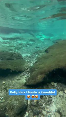 Hidden gem!!! Florida has a secret 🤫 spring that only allows in up to 250 cars a day. It’s called Kelly park and it’s 45 minutes from Disney. It’s filled with fish and blue water. You tube down the river & might even spot otters!!! Just $3 to get in. $9 tube rental #fyp #fypシ #foryou #following #follow #kellyparkrocksprings 