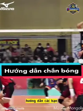Hướng dẫn chắn bóng. how to block volleyball. #bongchuyen #volleyball #bongchuyenhoi #viral #xuhuong #bongchuyenvietnam #chanbong #volleyballblock 