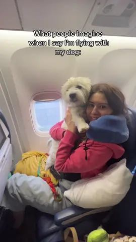 What traveling with a dog in the cabin is REALLY like? ✈️🐶 Well, it's rarely this fun and carefree experience like in the first video 😅 Most airlines are strict about the dog staying in their carrier bag under the seat in front of you, so if they let you take them out you're really lucky! (We were lucky ❤️). And no, you can't buy your dog a seat on the plane. Pets are not allowed to be on the seats (even though, again, if you're really lucky they might make an exception, especially if the flight has a lot of empty seats). 💺 But don't count on it! Some airlines don't allow pets in business class, so even if you can afford to pay extra for more leg space, you are stuck in economy and there is very little room for the pet carrier. 🐶 Not much room to move honestly, so for long flights prepare to not feel your legs 😂 Even so, always worth it 😅❤️ #dogsoftiktok #dogsoftiktokviral #PetsOfTikTok #dogswhotravel #dogfriendlytravel #dogfriendlyairlines #dogmom #doglife #doglover #puppydog #westiesarethebesties #traveldog #dogtiktok #dogtips  