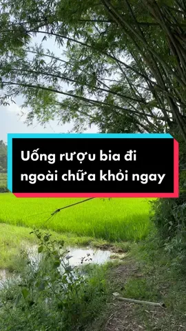 Chữa khỏi ngay uống rượu bia bị đi ngoài phân lỏng nát #thaoduocbaoan