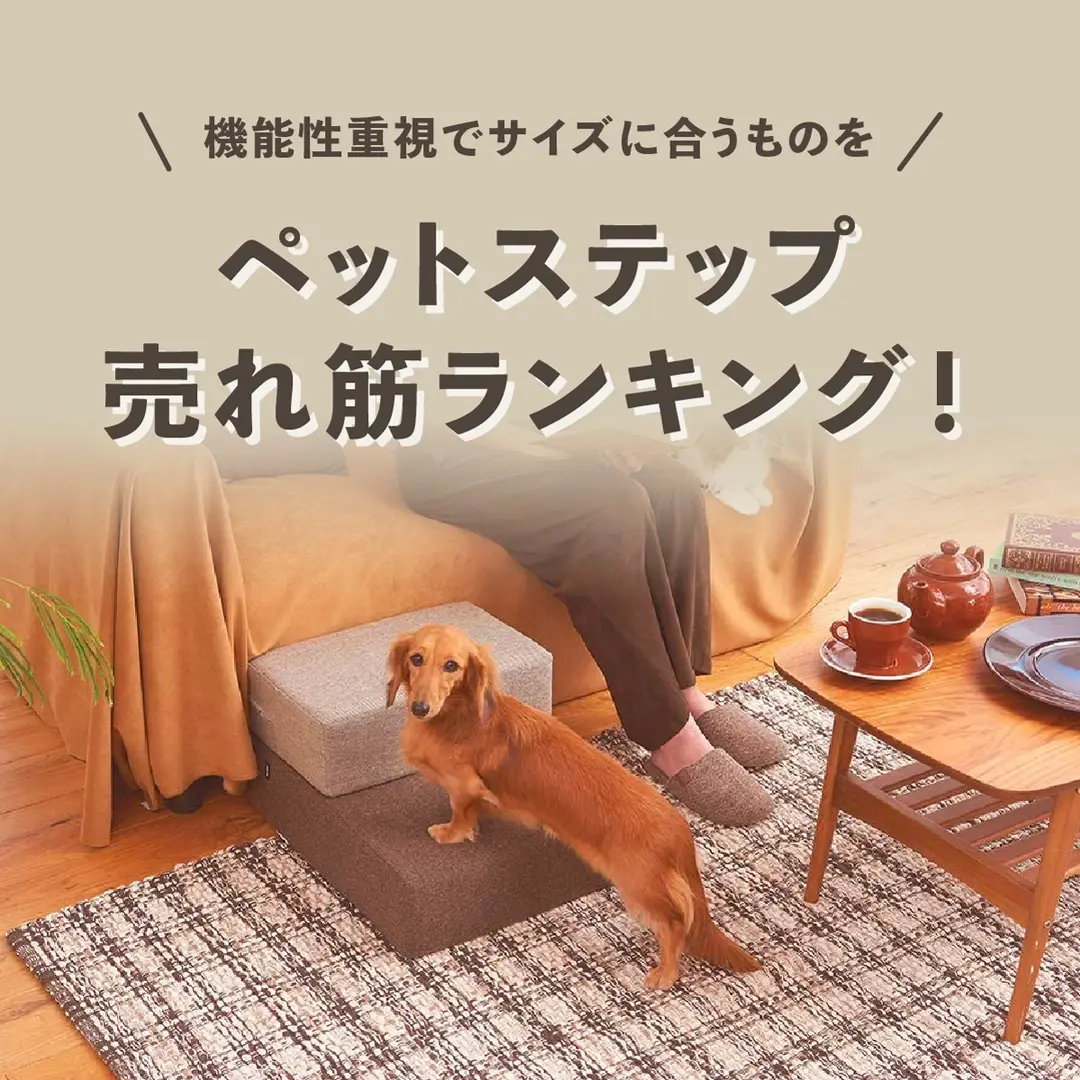 犬用ペットステップ・ペットスロープの売れ筋ランキング！ 機能性を重視して愛犬のサイズに合うものを選ぶ ペットステップ、ペットスロープ（ドッグステップ、犬用階段）は 犬の足腰の健康維持をサポートするアイテムです。 滑り止めや収納付き、大型犬向けの頑丈なドックステップなど、 バリエーション豊かな商品がランクイン。 ぜひ参考にして、ペットにぴったりなステップ・スロープを探してください。 ───────────────────── FOODOG（フードッグ）は、 「わんこと楽しい＆幸せな生活を送りたい」をテーマに、 わんちゃんに関する飼い方や暮らしに役立つ情報を発信しています。 困ってしまったり、わからない瞬間もあるでしょう。 でも大丈夫！フードッグを知っていれば、 わんことの思い出が素晴らしいのものになり、幸せなときが訪れます。 わんことの暮らしはさまざまな体験が待っています！ さぁ今日は一緒にどこに行こうか？ SNSでも情報を発信中！ぜひフォローしてくださいね。 ───────────────────── #愛犬 #プードル #犬用 #ペットグッズ  #ペットスロープ #ペットステップ #犬用階段