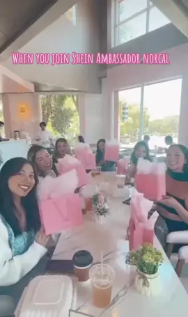 Shein Ambassador NorCal Chapter 🌸  #joinus #sheinambassador #norcal #fyp #explore #sheingals #shein #events 