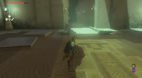 I love Zelda Pro Skater 2 #tearsofthekingdom #zelda #totk 