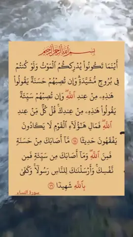 #قران #كريم #صالح_بو_خاطر #viral #tiktok #foryou #foryoupage 
