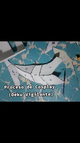 haciendo un cosplay de Deku Vigilante para un ñeku 🫨 #fypシ #cosplay #IzukuMidoriya #BokuNoHero #Cosplayanimes #otaku 