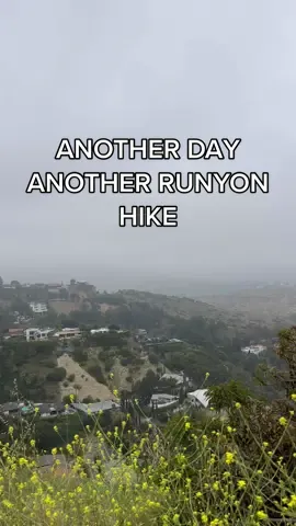 Another runyon hike for some serotonin lol #losangeles #itswhackadoodletime #contentcreator #runyoncanyon #runyoncanyonhike 