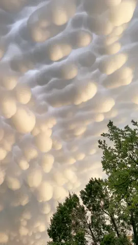 When the storm clouds in Texas hit different….perfection 🙌  Anyone else ever seen Mammatus  clouds in the sky before?      #texas #texascheck #texasstorm #mammatusclouds #texastrip #texasweather #traveltiktok #mysteriesofnature #traveldiaries #stormclouds #natureisbeautiful 