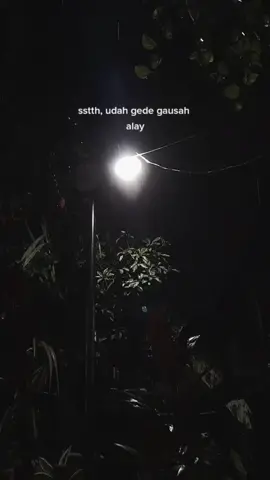 gaboleh ditiru ya adick
