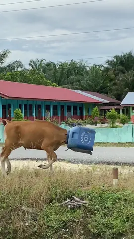 Barong sapi