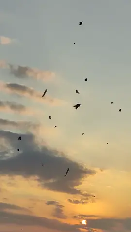 langit bali full senyum #layangan 