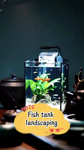 Mini aquarium fishtank landscaping #aquarium #aqua #fishtank #fish #minifish #pet #petlife #aquariumfish #fyp