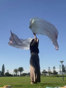 Park flow  #fyp #newcastlensw #silkfandancing #silkfans #flowmiesoftiktok #flowarts 