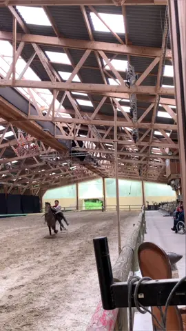 Les premiers spectacles de mon nouveau cheval Banquero ⭐️