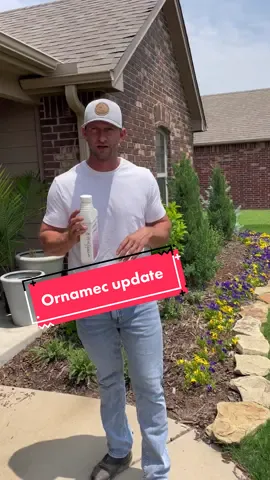 Replying to @I got three bucks update on Ornamec to kill Bermuda grass in your flowerbeds 