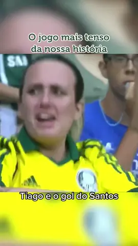 O jogo mais tenso da história do Palmeiras... PALMEIRAS X ATLHETICO PR 2014! #palmeiras #santos #historia #futebol #atleticoparanaense #serieb #fyp #fy #fyy #Soccer #viralizar #viral #viraliza  #historiafutbol #verdao #football #tiktok #naoflopa #allianzparque #verdaoquerido  #tiktokindia #sep #sepalmeirasz #avantipalestra #futbol 